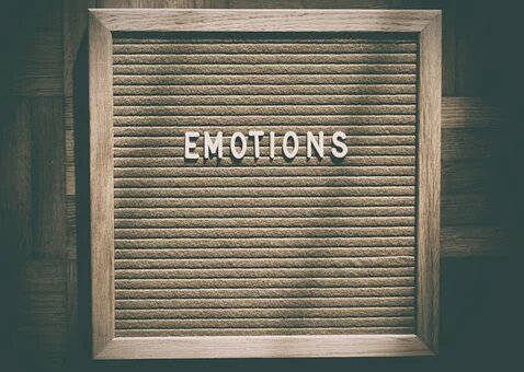 emociones básicas
