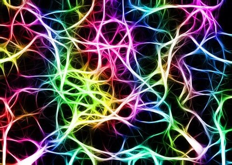 las neuronas se regeneran