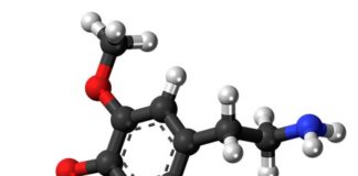 ¿Qué es la dopamina y para qué sirve?